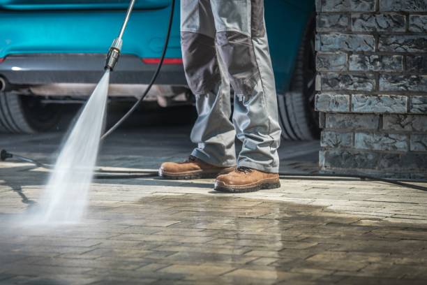 Best Pool Deck Cleaning  in Wayland, IA
