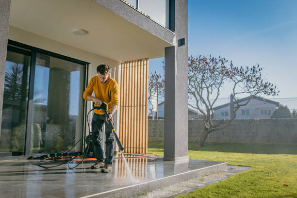 Best Graffiti Removal  in Wayland, IA