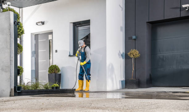 Best Solar Panel Cleaning  in Wayland, IA
