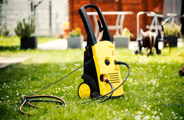 Best Pre-Holiday Cleaning  in Wayland, IA